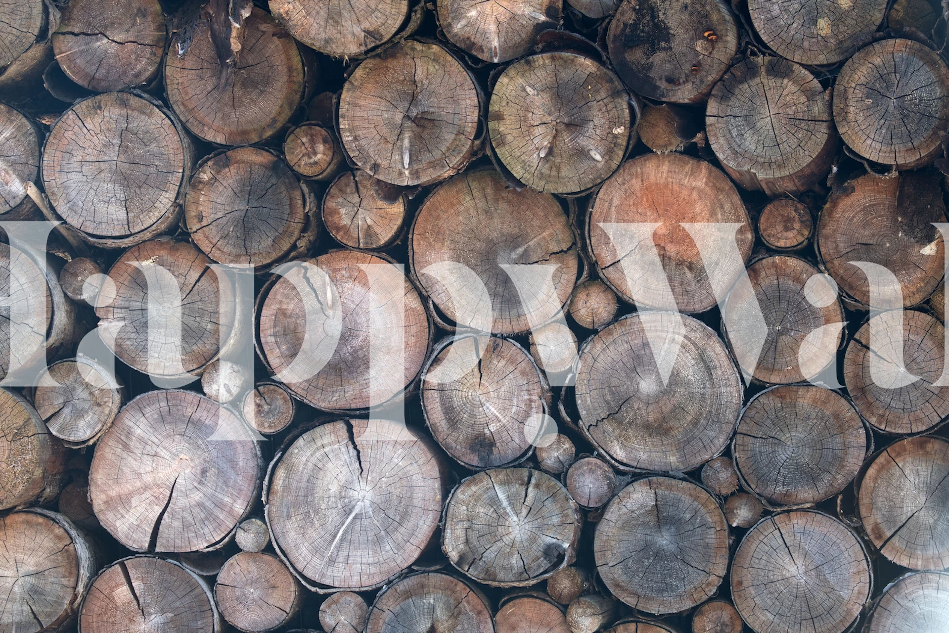 Circular wood log pattern in earthy tones rustic wallpaper