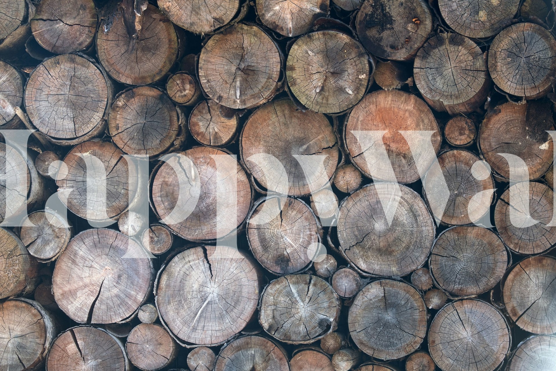 Wandbild „Rustic Wood 3“ mit einer Reihe natürlicher Holzenden