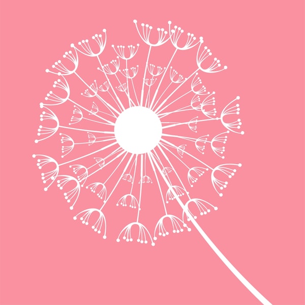 Pink Rose Dandelion Minimalism