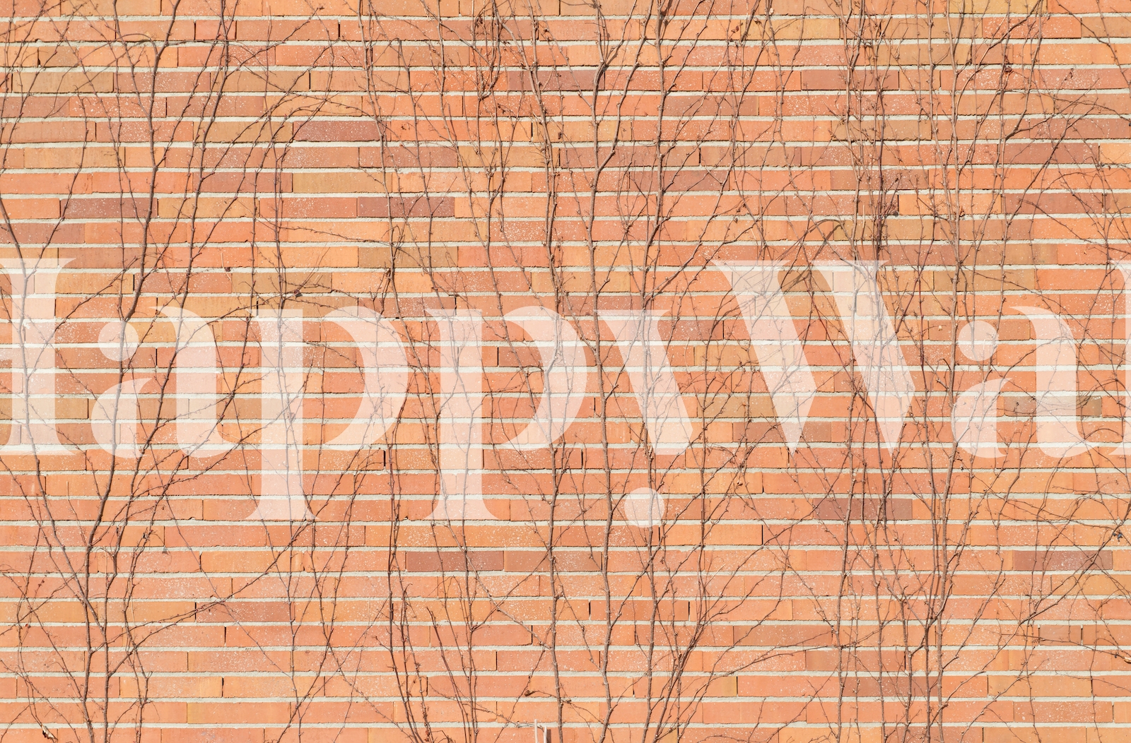 Brick Wall with Ivy 1 Wallpaper - Buy Online | Happywall