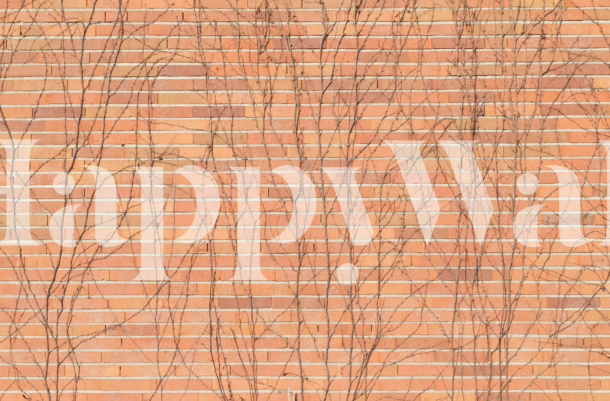 Brick wall with ivy vines in earthy tones wallpaper