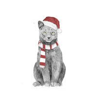 Xmas cat tapet