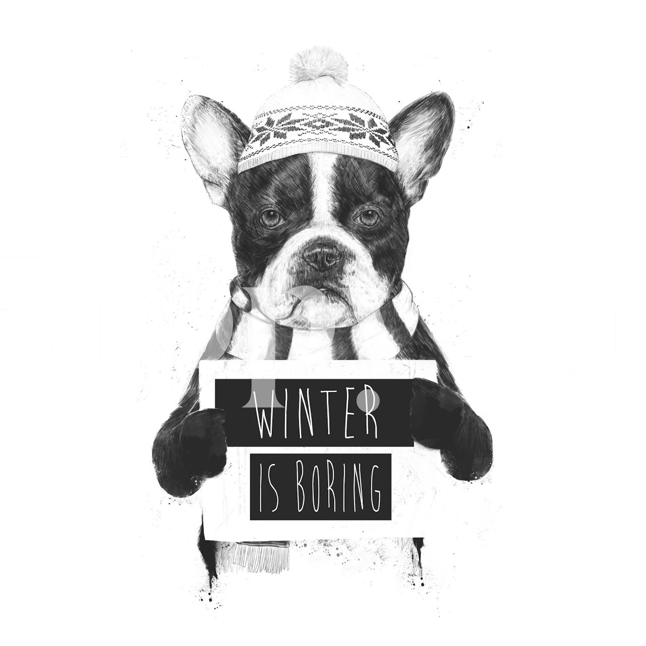 Funny French bulldog in winter hat and scarf with Winter is Boring text wall mural
