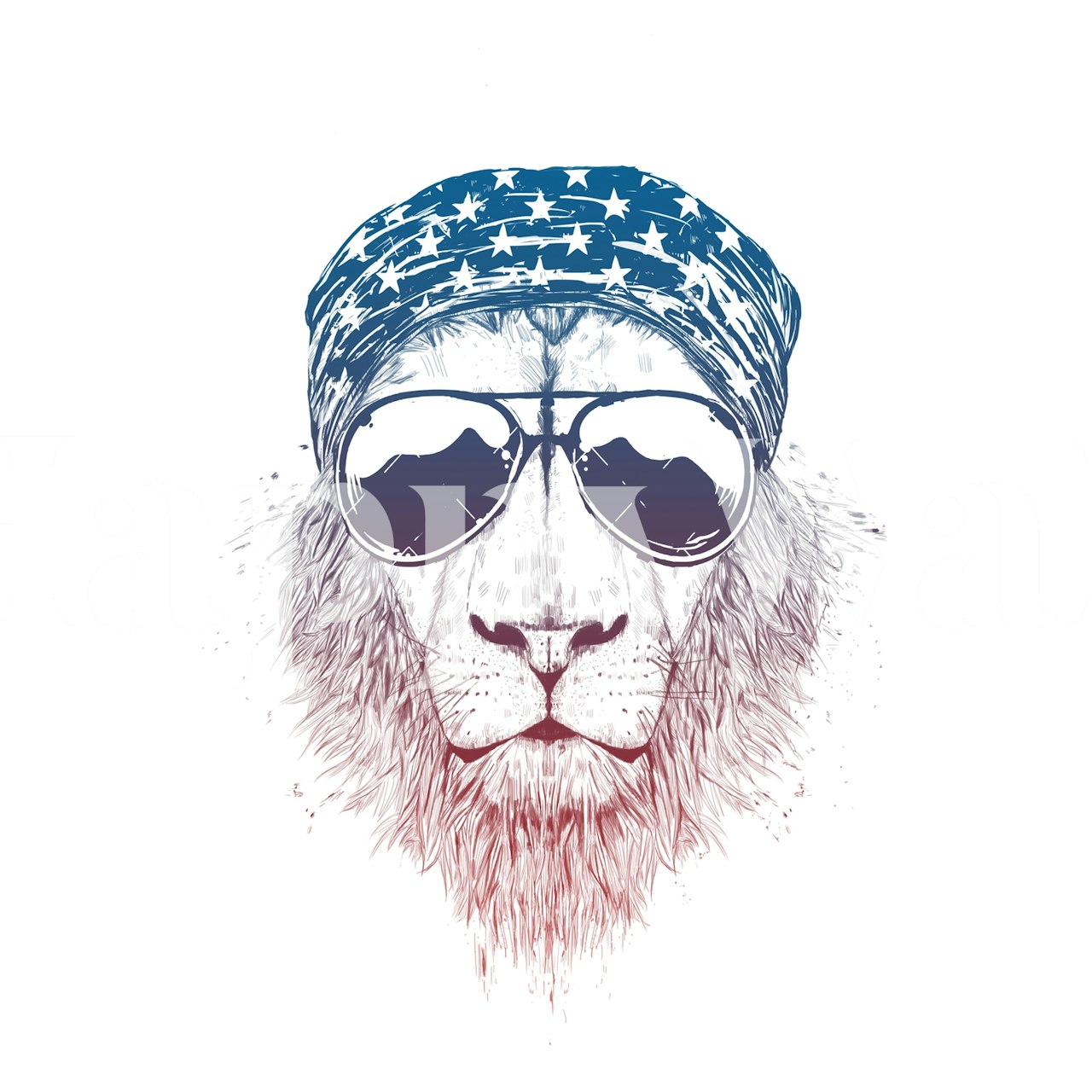 Stylized wild lion wall mural with contemporary graphic elements and a cool demeanor