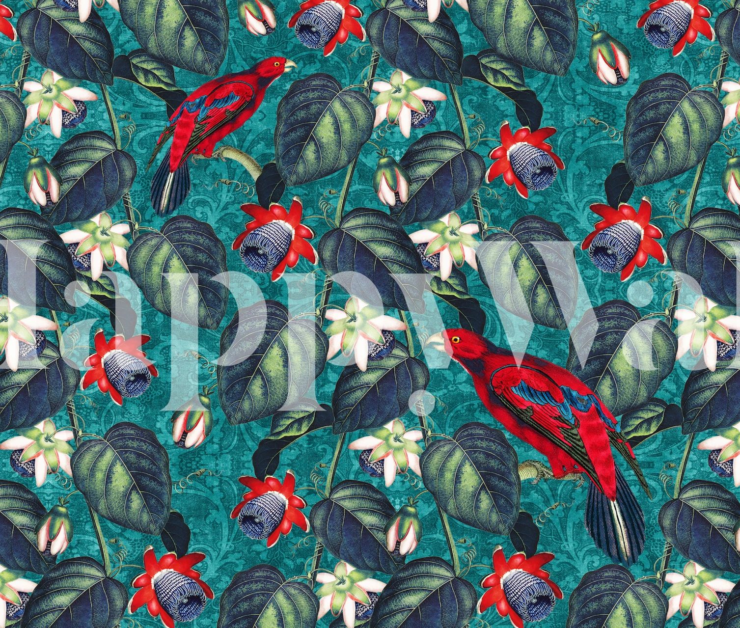 Paradise XL Teal Red Green wallpaper in a room