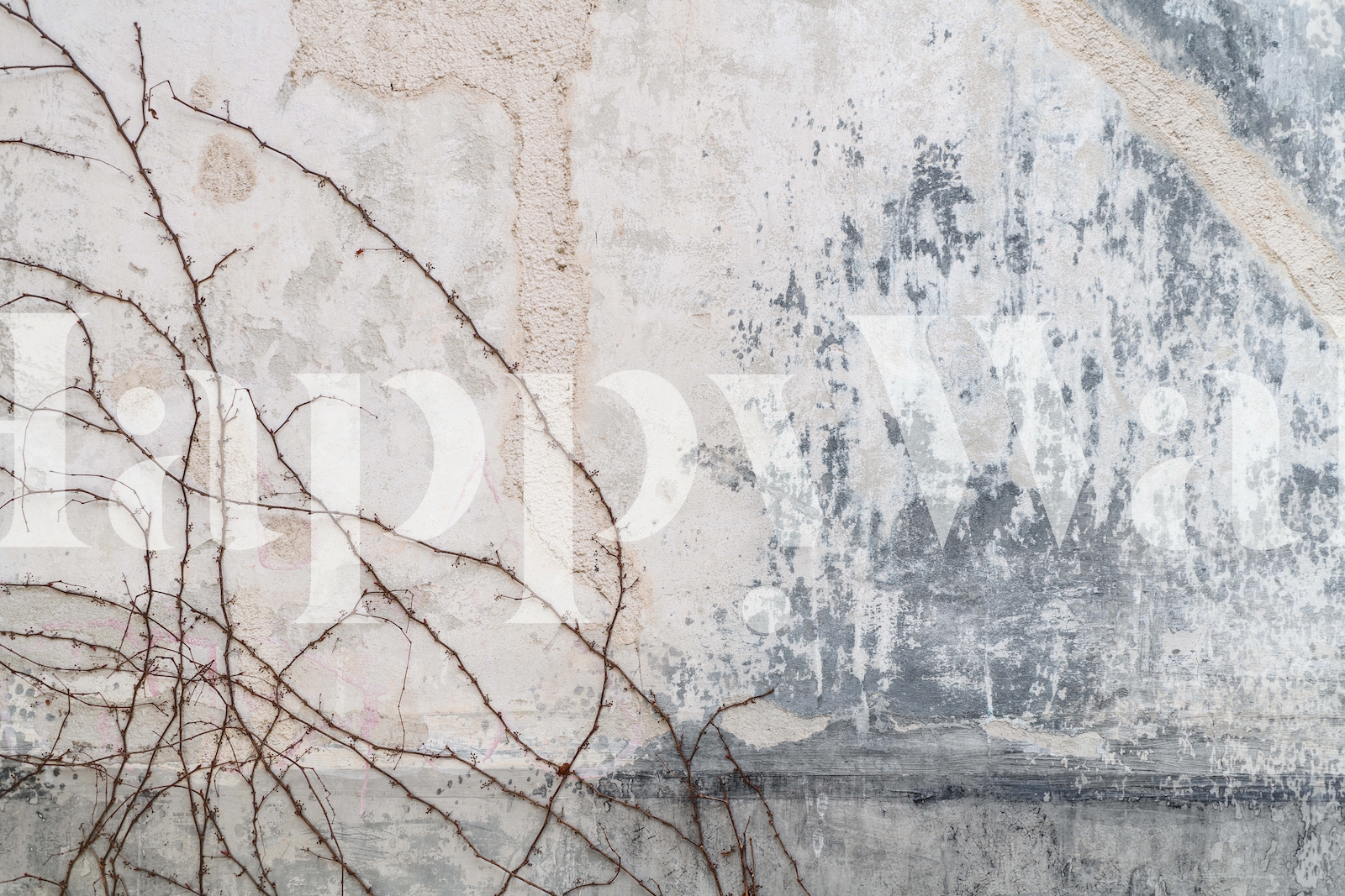Rustic Gray Wall Mural Wallpaper