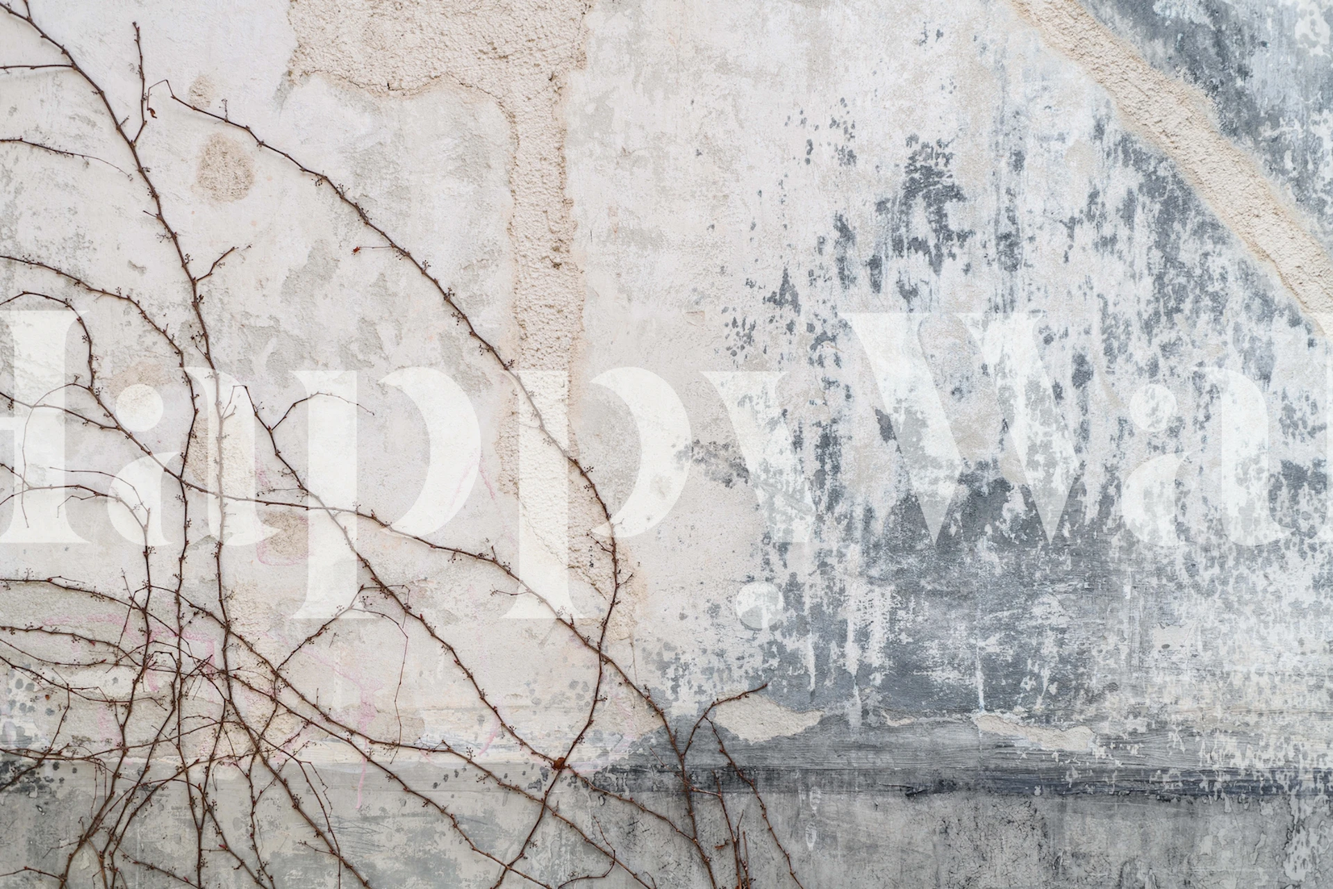 Gray textured wall with vine patterns wall mural