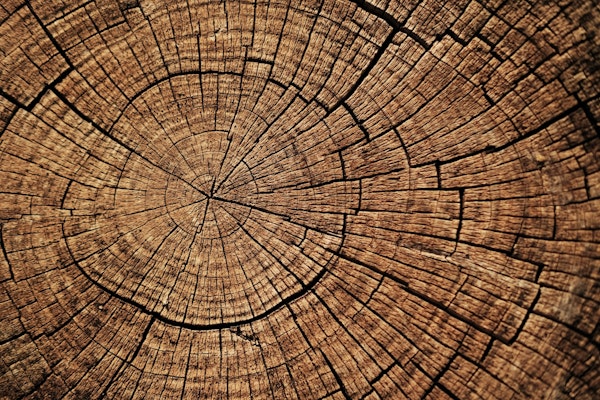 Tree rings