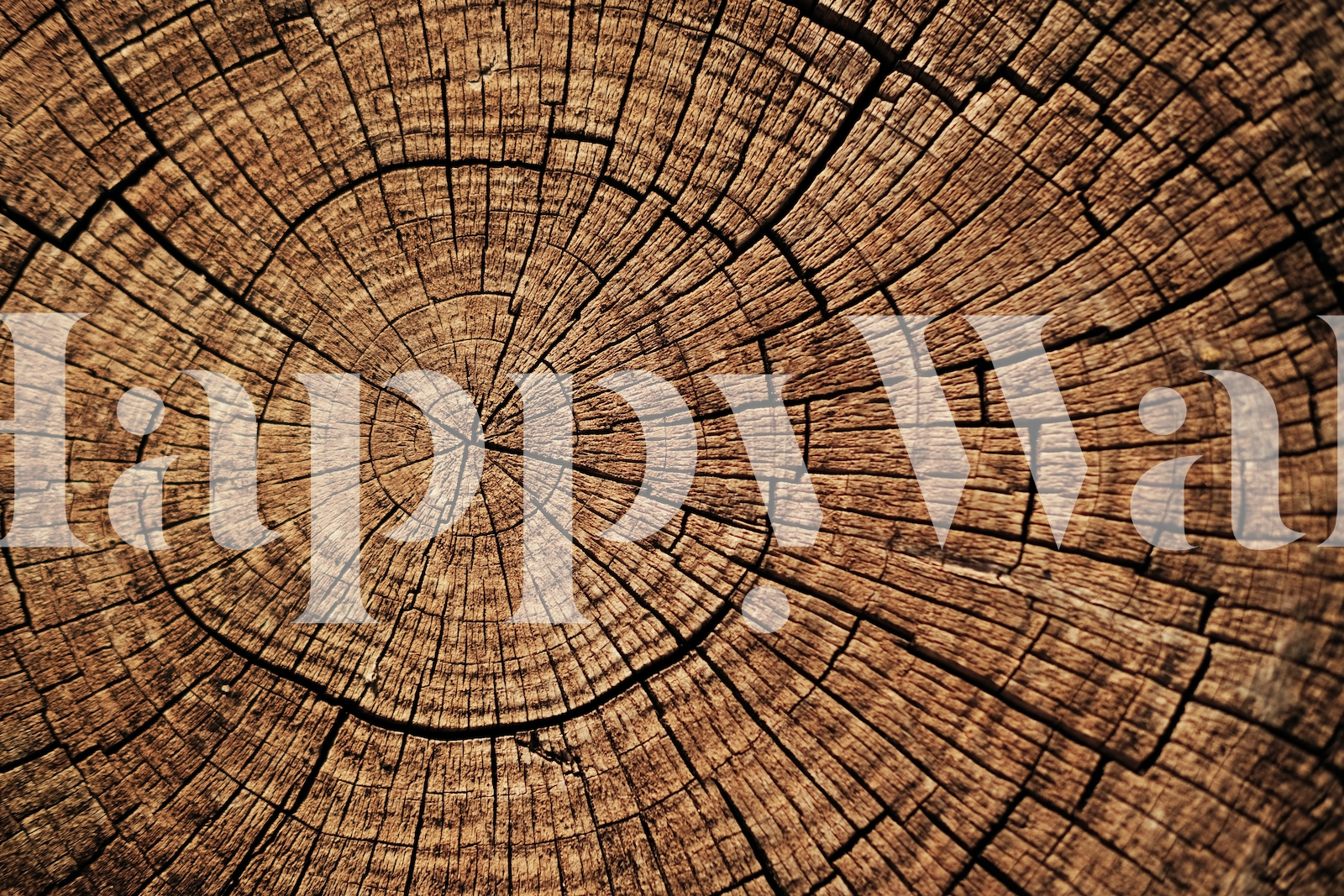 Tree Rings Wallpaper - Naturalistic and Inspiring Wallpaper on Happywall