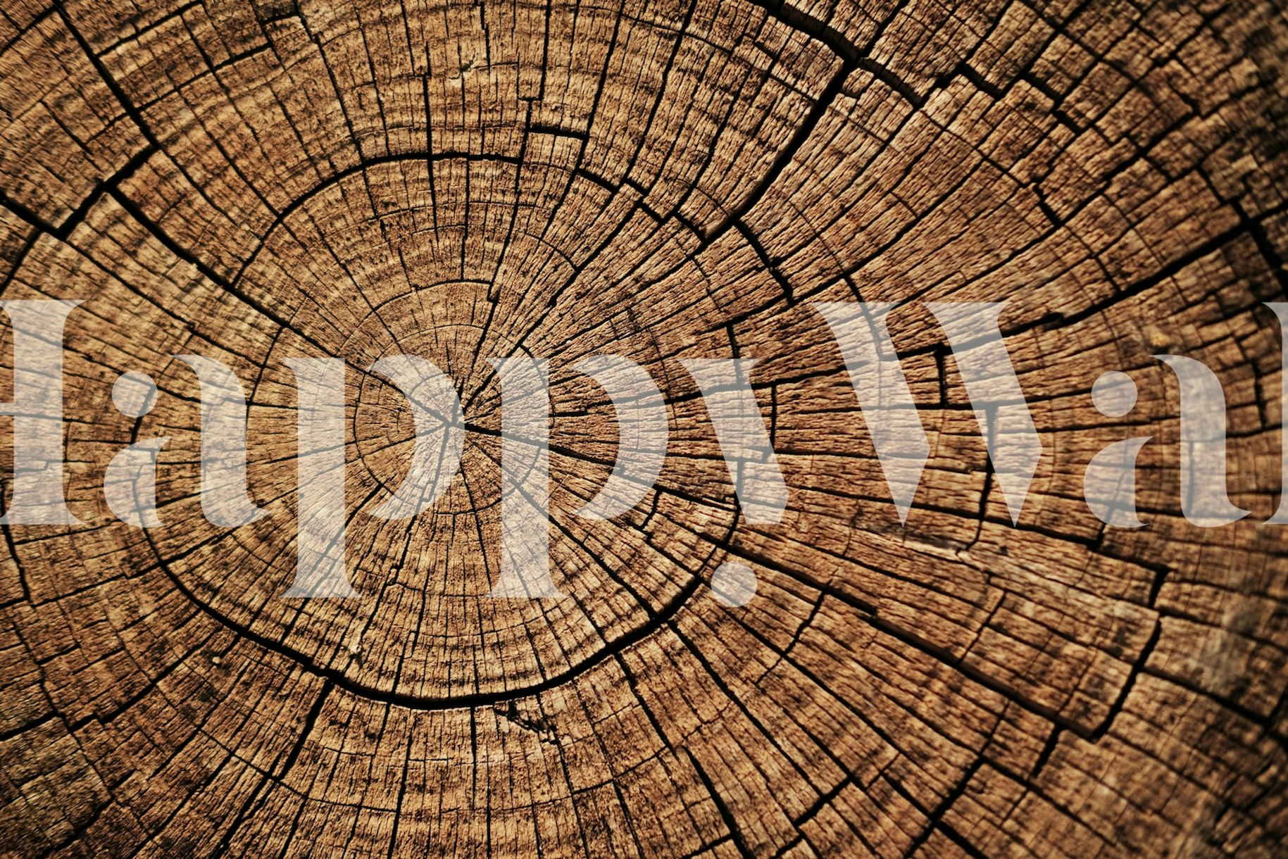 Tree Rings Wallpaper - Naturalistic and Inspiring Wallpaper on Happywall