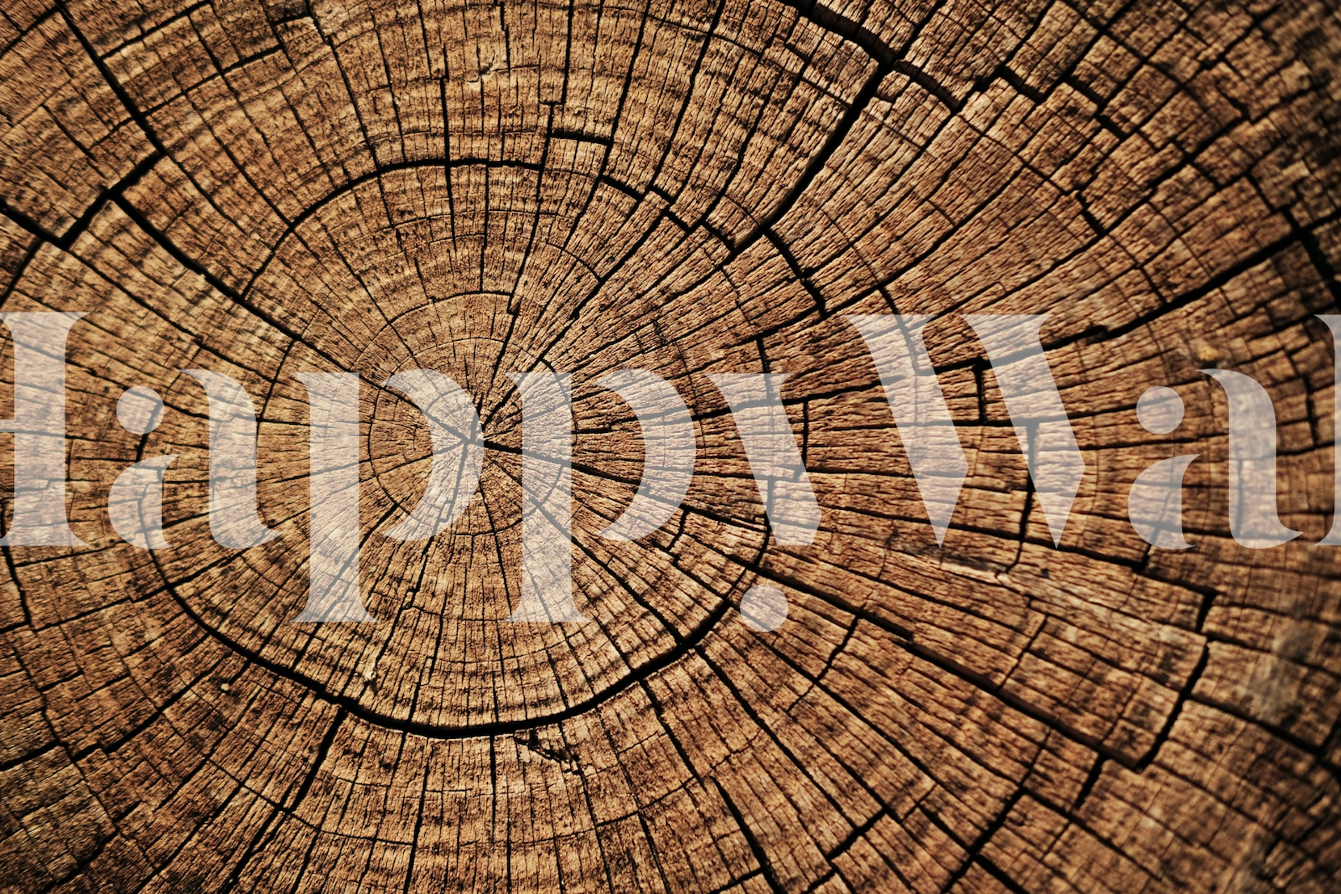 Tree rings in rich brown tones, organic pattern wallpaper