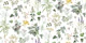 Herbs And Wildflower