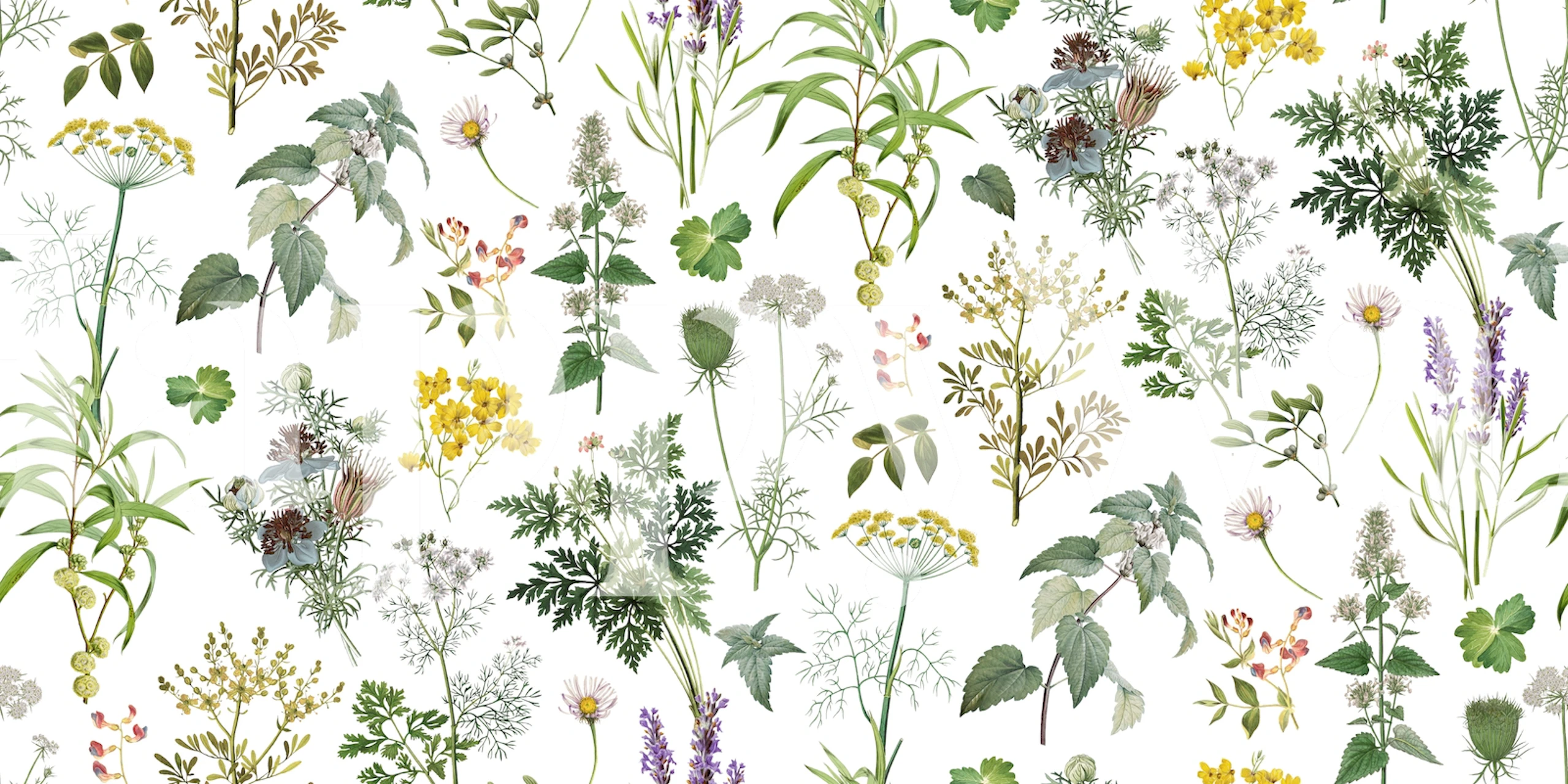 Herbs and Wildflower Tapete in einem Raum