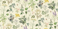 Herbs And Wildflower II tapet