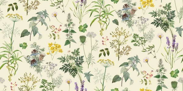 Herbs And Wildflower II