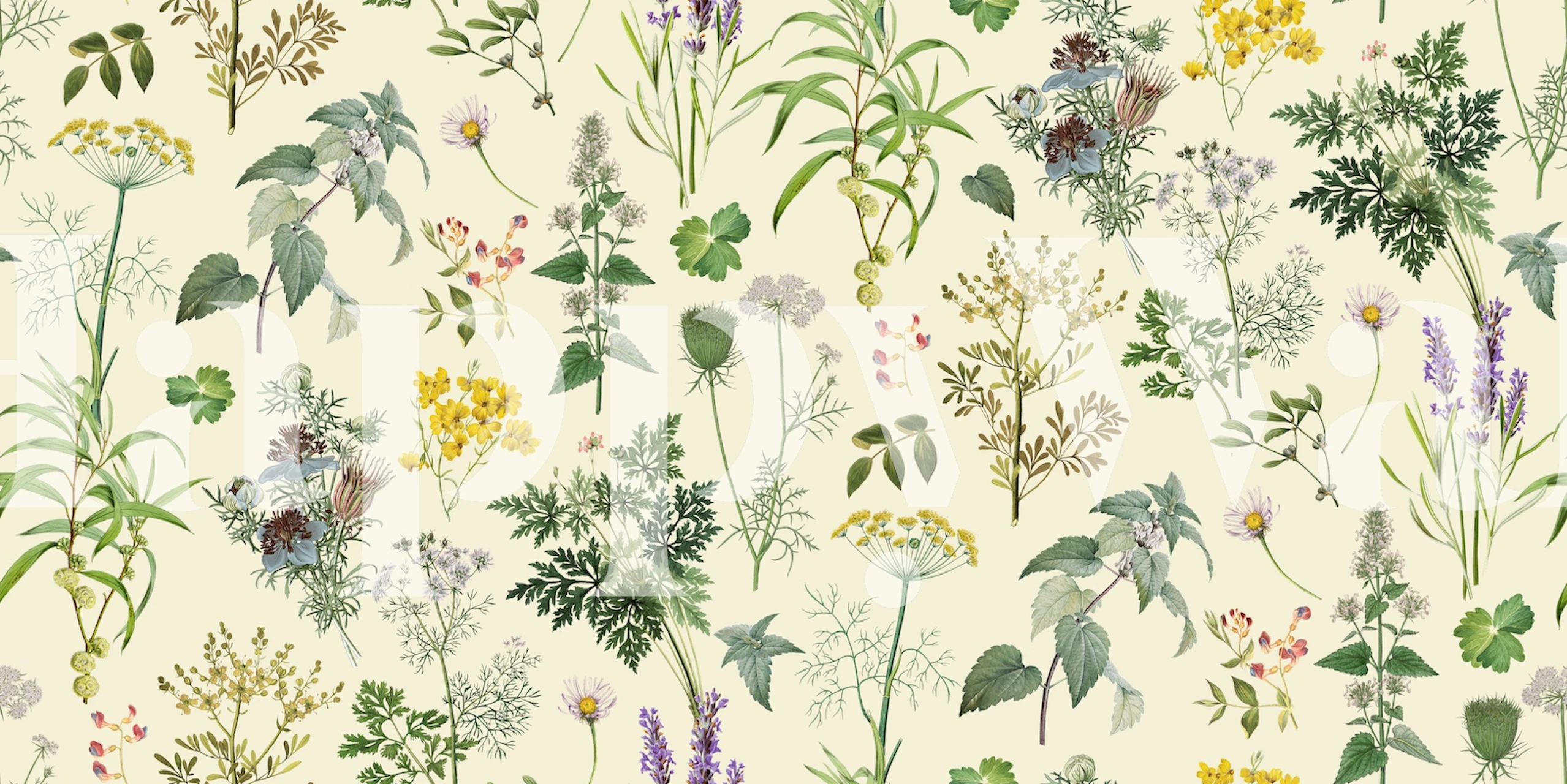 Kruiden en bloemenpatroon in pastelkleuren wallpaper