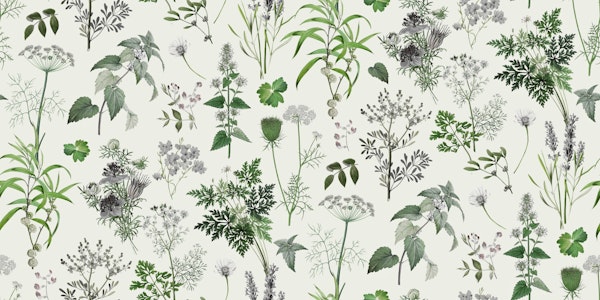 Herbs And Wildflower III