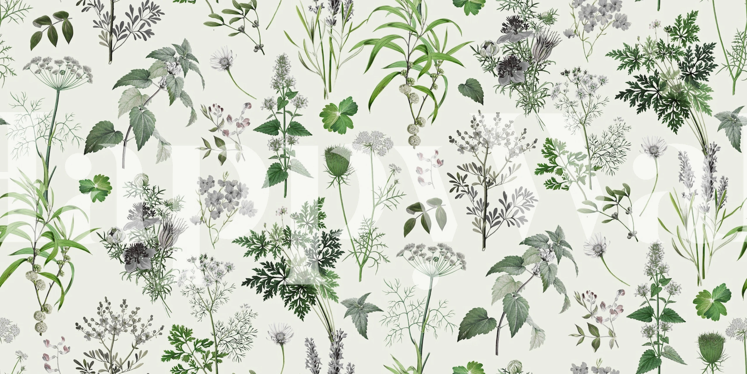 Herbs And Wildflower III -kuosiselkäinen tapetti huoneessa