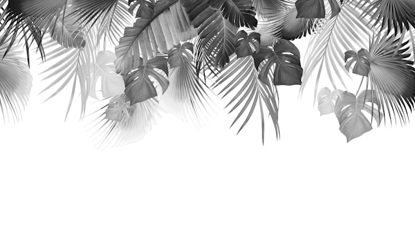 Jungle Dream 2023 - W 2 BW