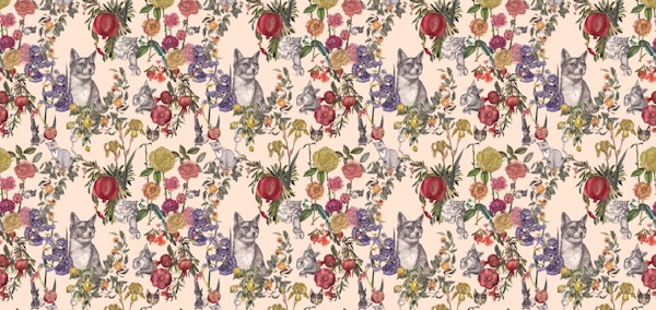 Cats rose pomegranate garden