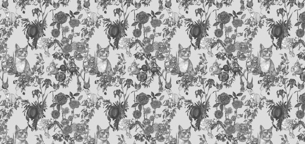 Cats Garden black and white