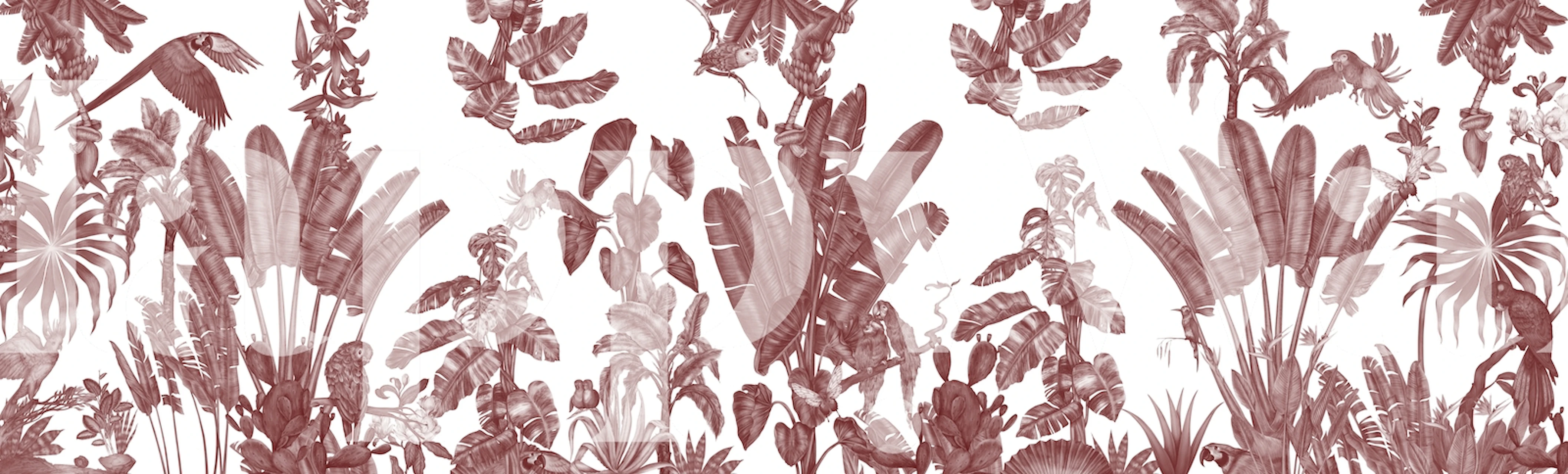 Tropical parrots and lush foliage in red and white pattern wallpaper