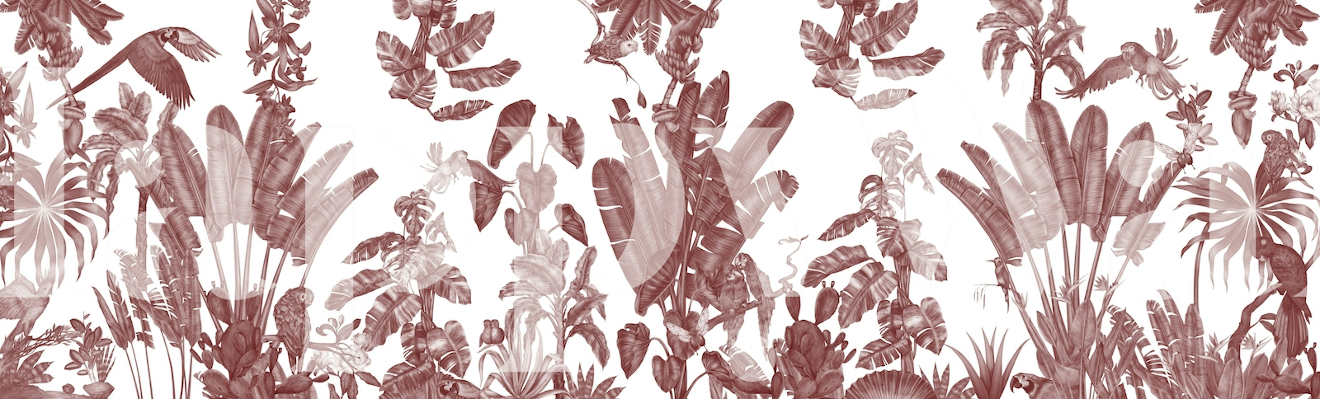 Tropical parrots and lush foliage in red and white pattern wallpaper