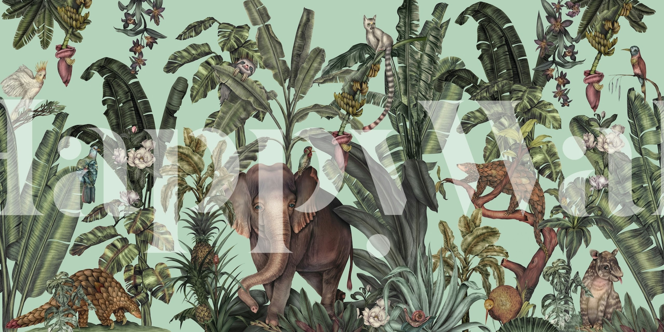 Elephant, tropical plants, and animals wallpaper in green