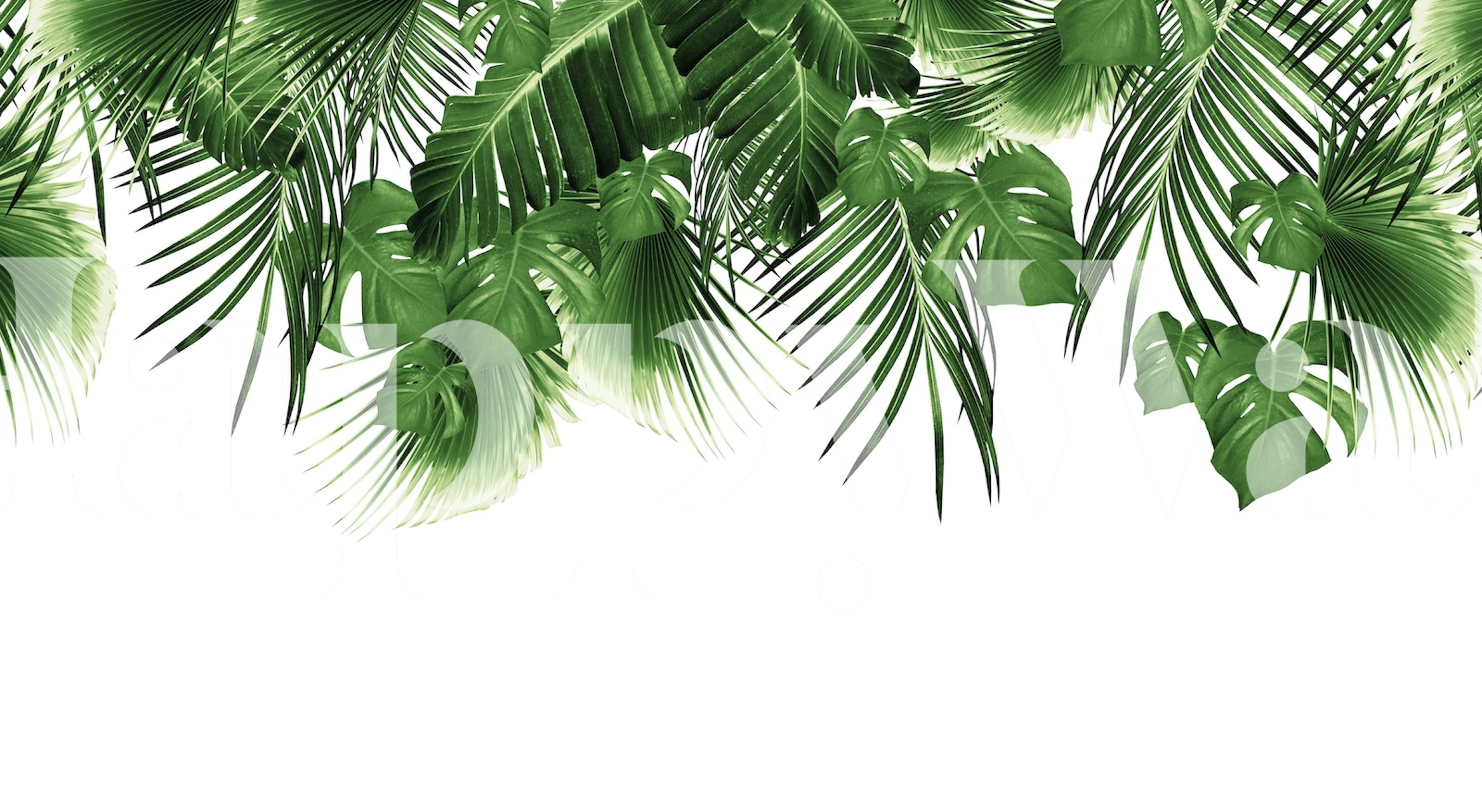 Jungle Dream 2023 wallpaper displayed in a room