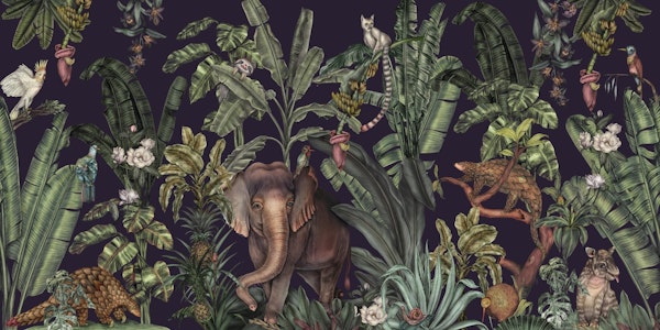 Jungle kingdom space