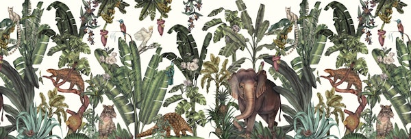 Elephant jungles