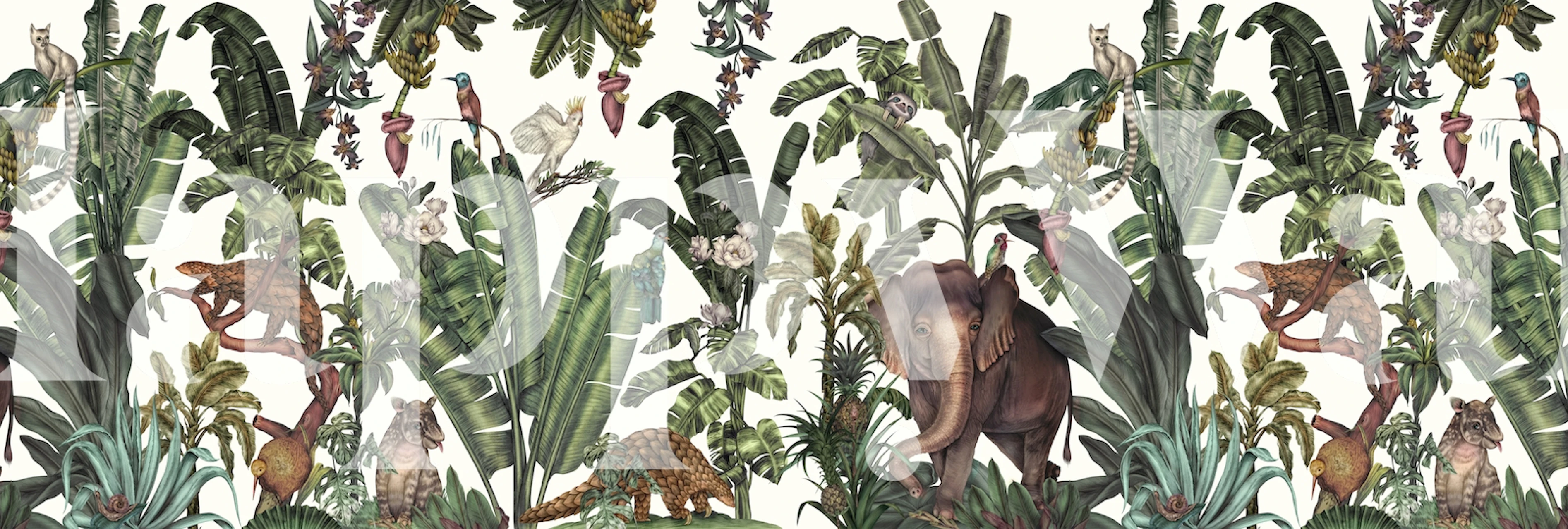 Papel de parede de selva tropical com Elephant e plantas
