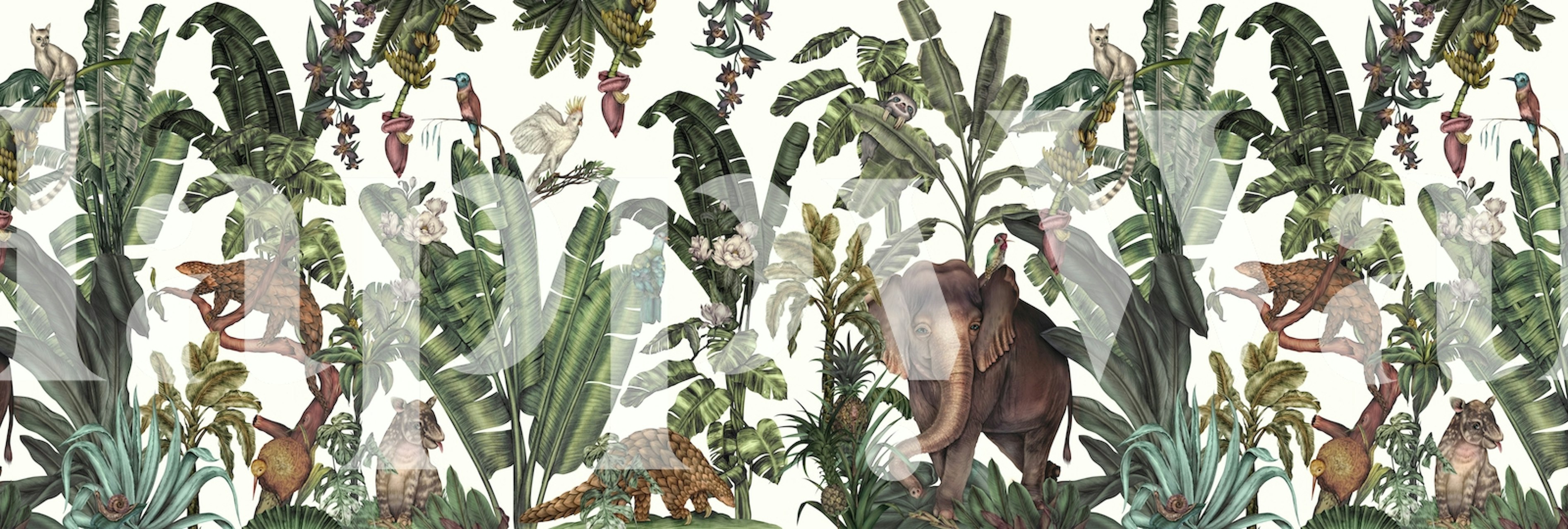 Tapeta tropická džungle s Elephant a rostlinami