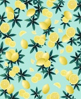 Lemon Twist Vibes 1 tapete