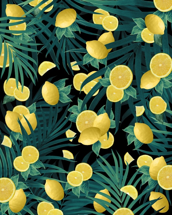 Summer Lemon Jungle Night 1
