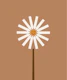 Happy Daisy boho brown panel