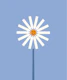 Happy Daisy blue panel