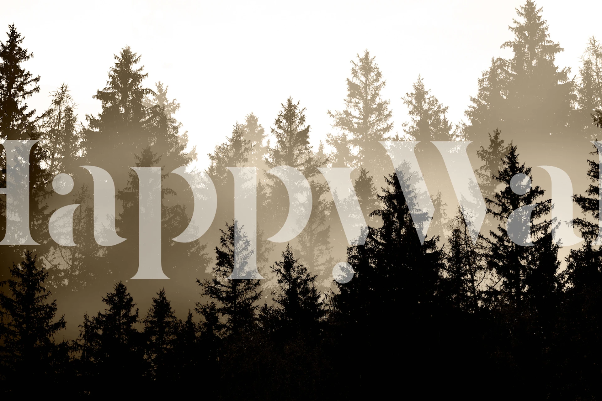 Silhouette of a black forest with misty background wallpaper
