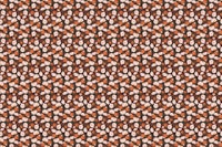 Blooms orange green brown S papiers peint