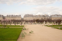 Paris Tuileries Garden tapeta