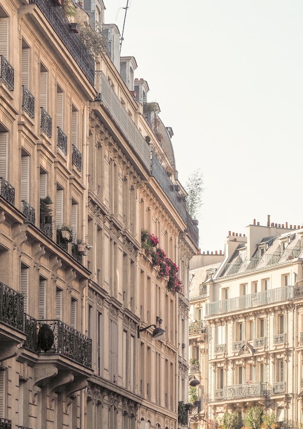 Paris Buildings Pink Flowers