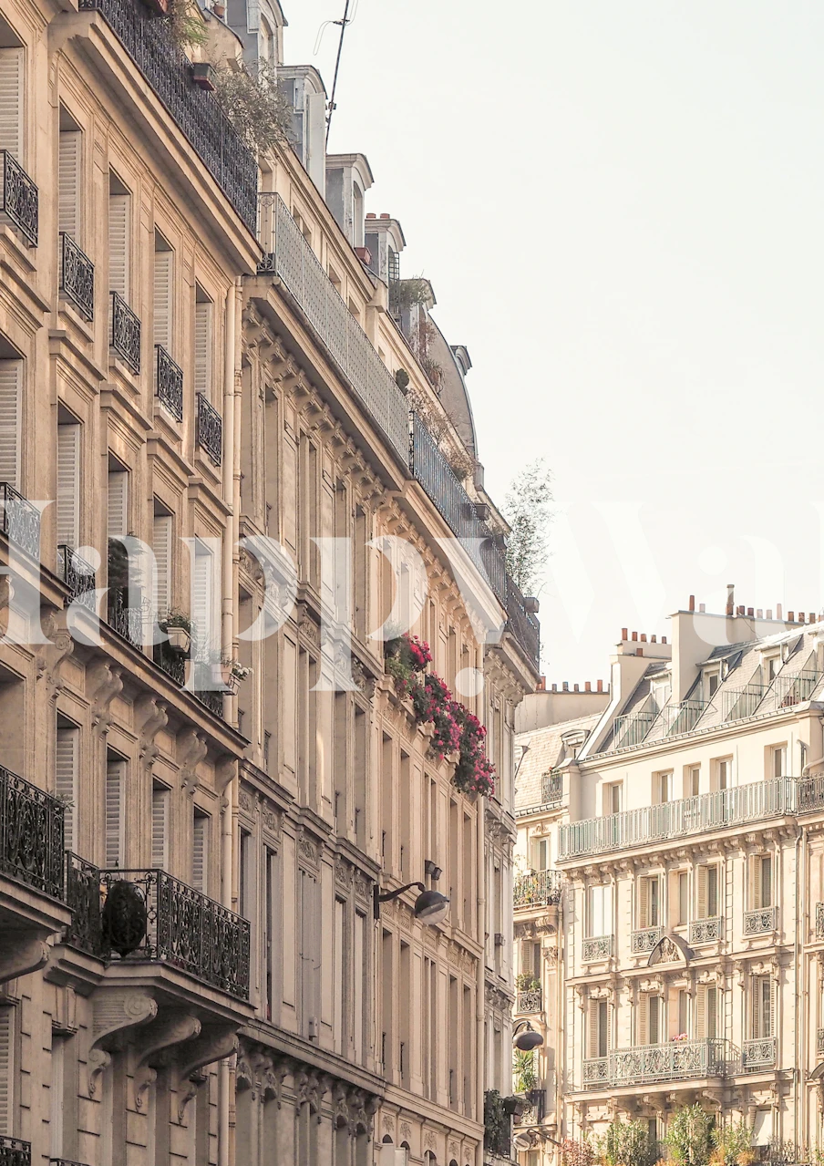 Paris buildings with pink flowers in window boxes wallpaper