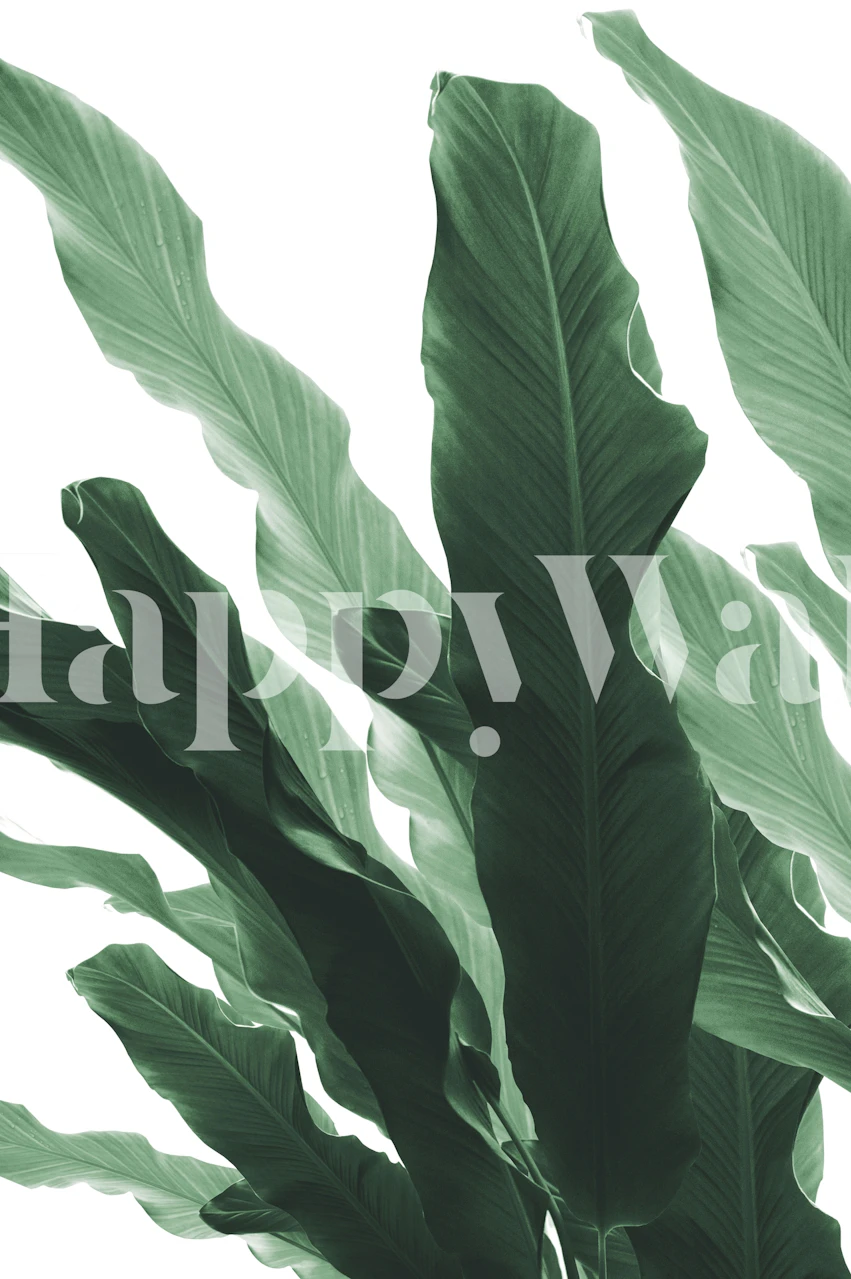 Tapeta Banana Leaves Jungle 1 w pokoju