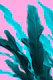Banana Leaves Jungle 2