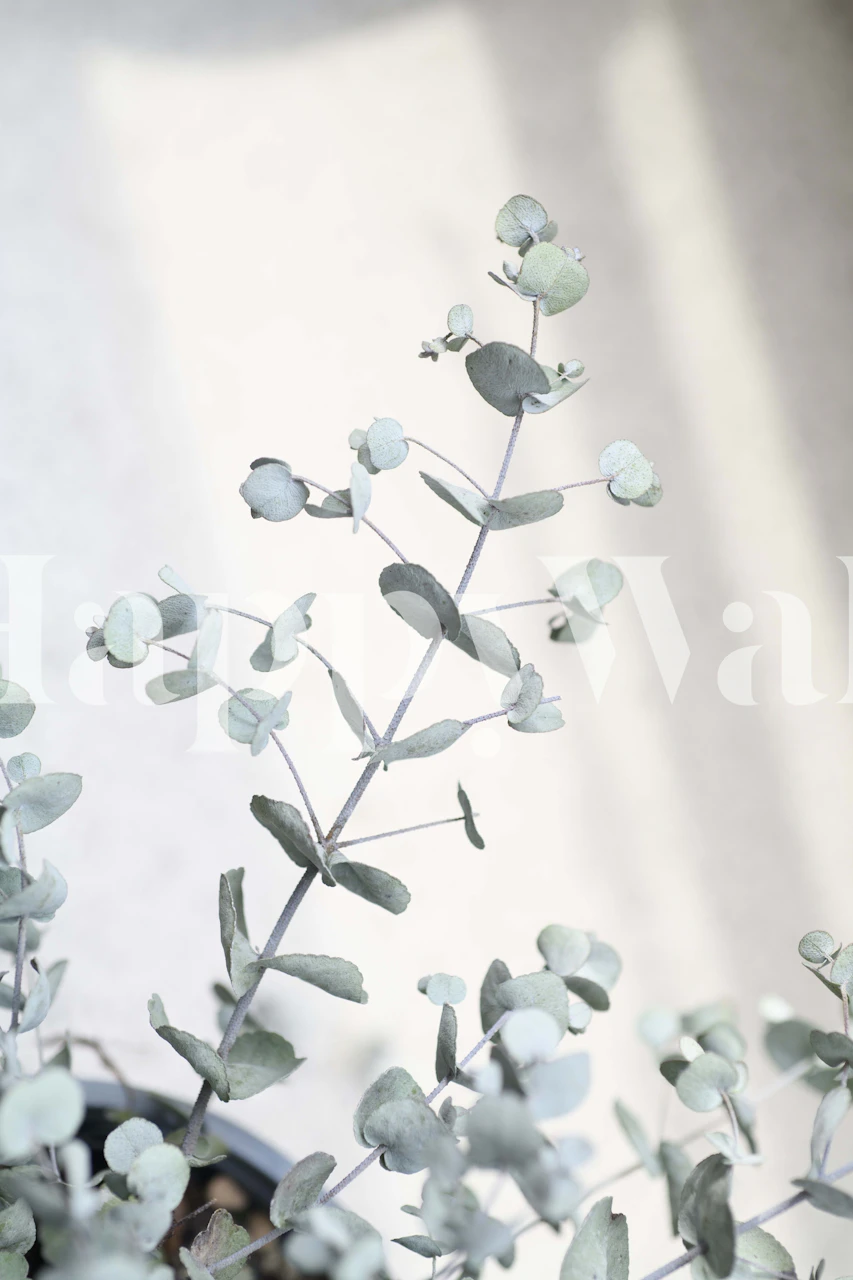 Eucalyptus leaves illustration in soft green tones wallpaper