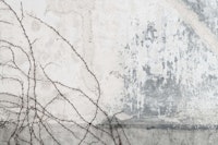 Rustic Roman Wall 4 tapete