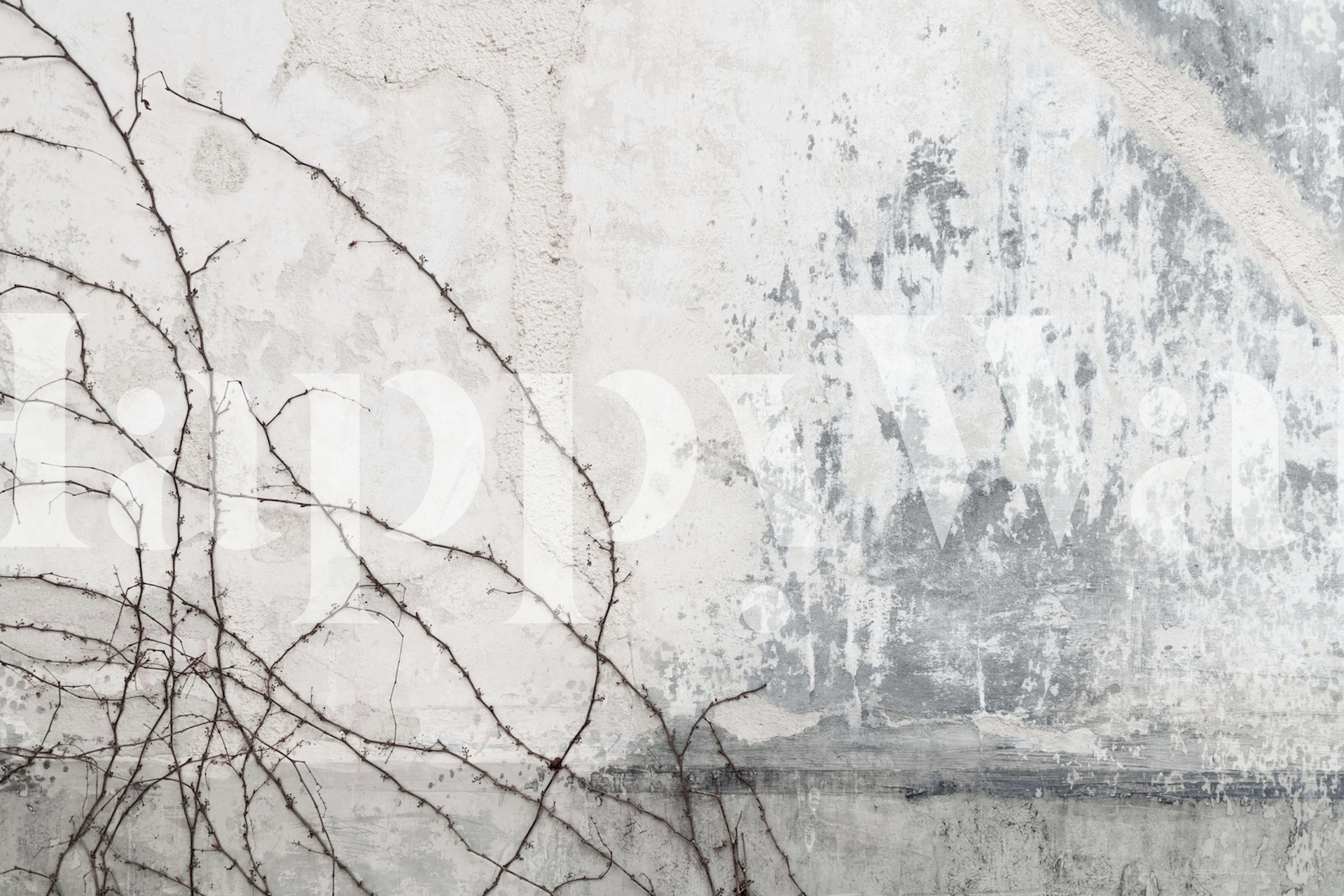 Texture of rustic wall with gray tones and thin vine branches wallpaper