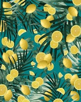 Summer Lemon Twist Jungle 5 wallpaper
