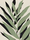Organic nature 11