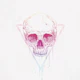 Skull in a triangle